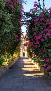 Img B046bb60e15270692cf1573444d1c6f0 V 169x300