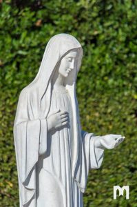 46212194 2456705961013181 200512515308781568 N 199x300