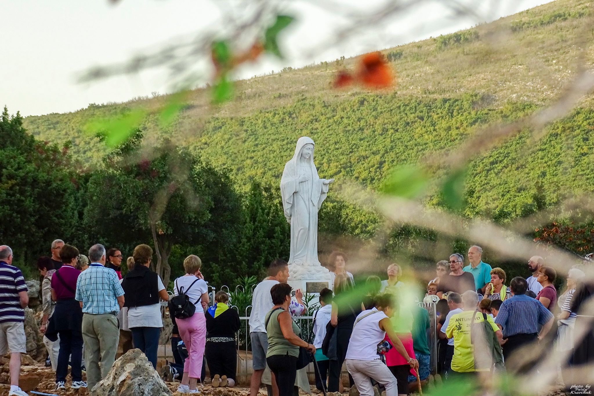 12113485 874831245905545 3062243945679529486 o