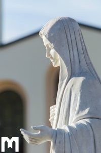 44767687 2426697934013984 8650981023762350080 O 199x300